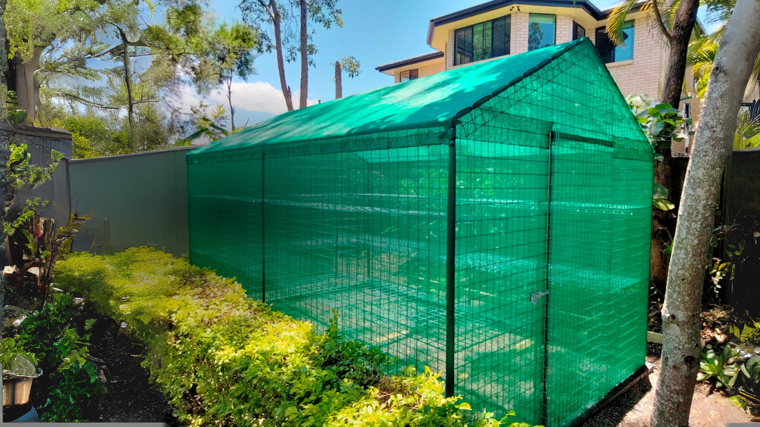 Why Your Garden Is Struggling – And How Garden Shade Fixes It