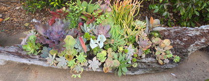 WIN a Premium DF4/D Shade House – Valued at $955!  Only $10 Per Entry.
