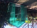 Shadehouse_H48_3